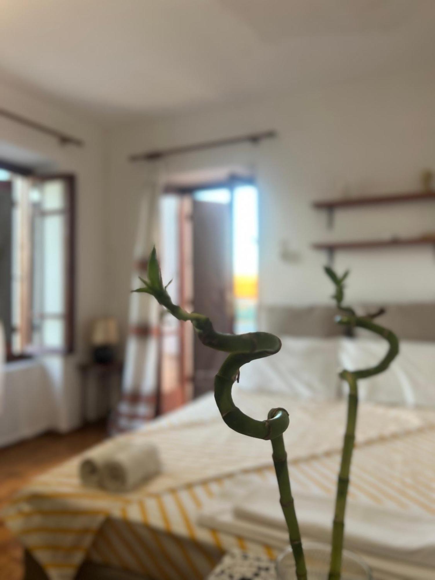 Petalou Village House מראה חיצוני תמונה